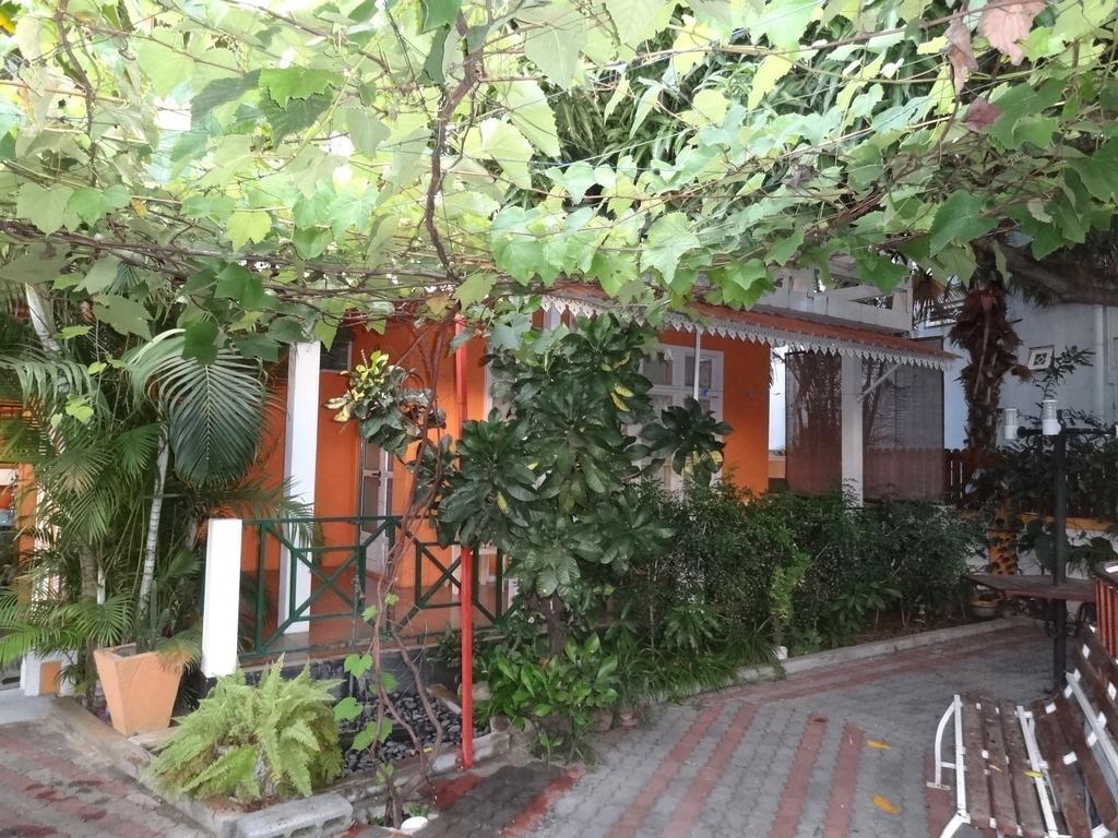 Son House Studio Flic en Flac Экстерьер фото